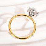 S925 2.0 Carat Moissanite Precious Two-tone Engagement Ring - Image 5