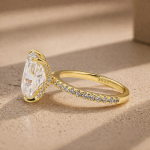 S925 Maxine Cathedral Moissanite 4.5 Carat Yellow Gold Radiant Cut Engagement Ring - Image 5